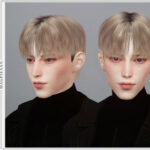 Jeju Hair by magpiesan at TSR