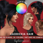 Laodiceia COLOR SLIDER RETEXTURE by SonyaSimsCC at TSR