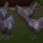 Lavender Orpington Hen by lowflyer at Mod The Sims 4