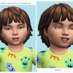 Lowell Hairstyle Toddler by Merci at TSR