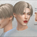 Male nose preset #3 by Coffeemoon at TSR