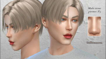 Male nose preset #3 by Coffeemoon at TSR