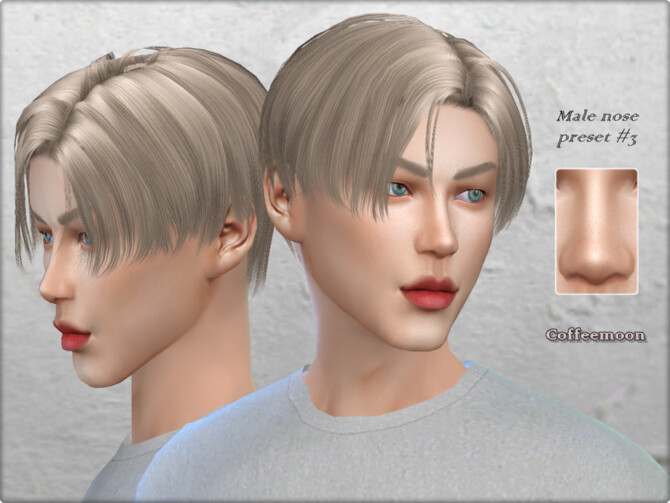 Male nose preset #3 by Coffeemoon at TSR