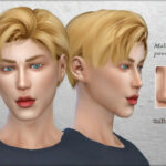 Male nose preset #4 by Coffeemoon at TSR