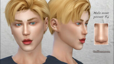 Male nose preset #4 by Coffeemoon at TSR