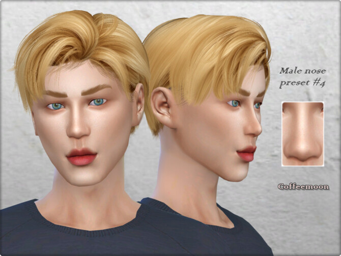 Male nose preset #4 by Coffeemoon at TSR