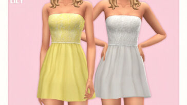 Miranda Dress by Black Lily at TSR