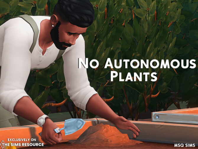 No Autonomous Plants by MSQ SIMS at TSR