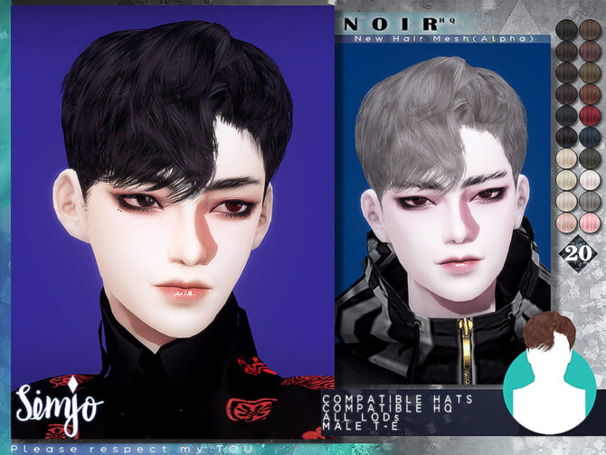 Noir Hair by KIMSimjo at TSR