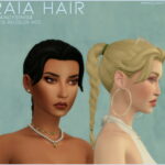 PRAIA BRAIDED HAIR at Candy Sims 4