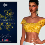 PRIMAVERA Collection TOP [IV] by Viy Sims at TSR