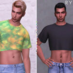 RYLAN top by Plumbobs n Fries at TSR