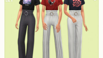 Shirt & Pants Outfit 06 by Black Lily at TSR