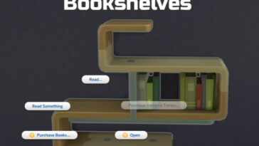 Should Have Been: Bookshelves by Ilex at MTS