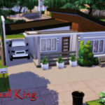 Small King house No CC by GenkaiHaretsu at TSR