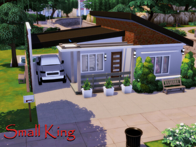 Small King house No CC by GenkaiHaretsu at TSR