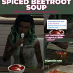 Spiced Beetroot Soup Custom Recipe by RobinKLocksley at Mod The Sims 4