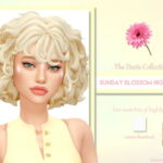 Sunday Blossom Highlights by LadySimmer94 at TSR