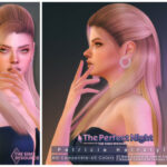 The Perfect Night Patricia Hairstyle by DarkNighTt at TSR