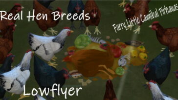 Three REAL hen breeds by lowflyer at Mod The Sims 4