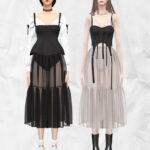 Transparent Gauze Bouffant Skirt at Charonlee