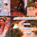 Weather and Forecast Cheat Menu by MSQSIMS at TSR