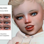 Eyebrows NB18 by MSQSIMS