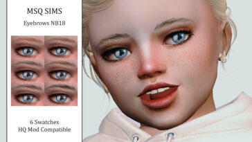 Eyebrows NB18 by MSQSIMS