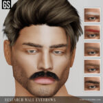 Research Male Eyebrows by gorgeoussims